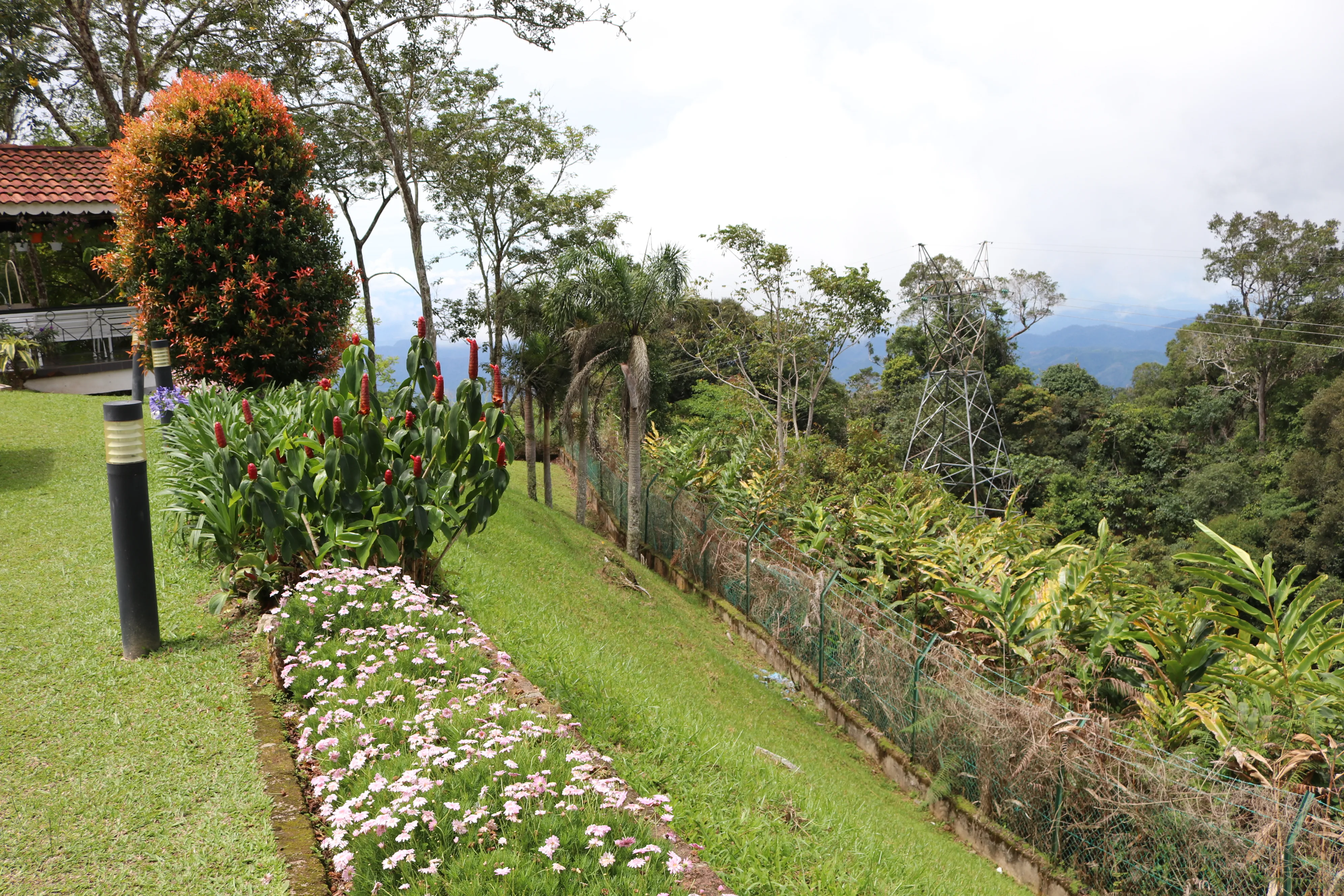 rpp-bukit-fraser-thelodge