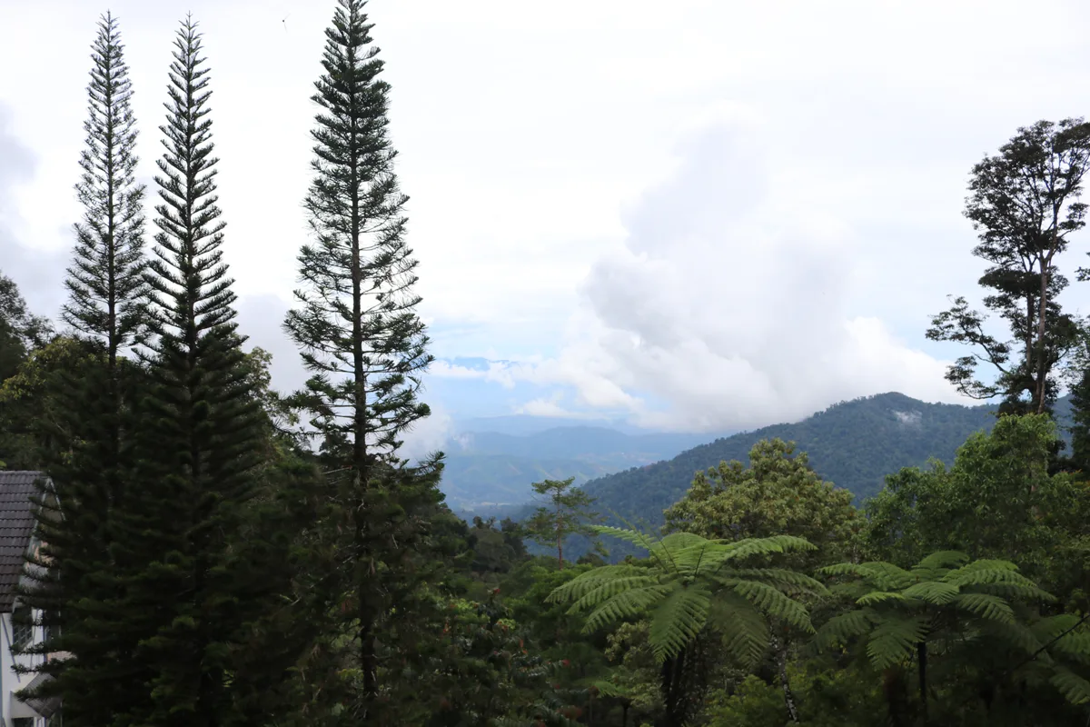 rpp-bukit-fraser-eksekutif