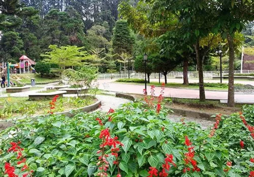 taman-flora