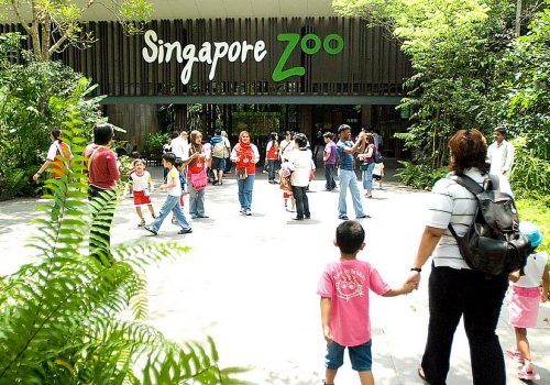 zoo mandai